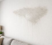 plamy na ścianie jakby mokre od wody